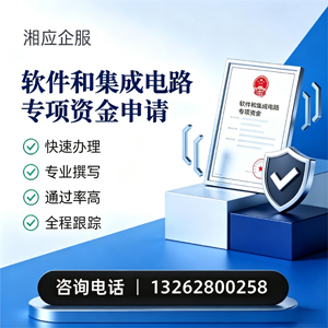 遂宁软件和集成电路专项资金申报服务