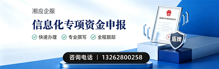 遂宁信息化专项资金申报服务
