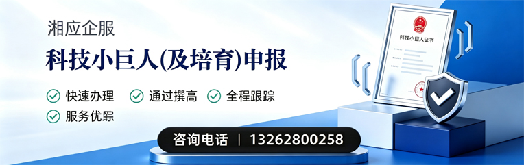 遂宁科技小巨人及培育企业申报服务