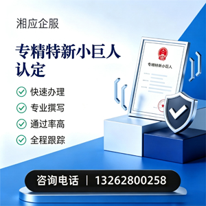 遂宁专精特新小巨人申报服务