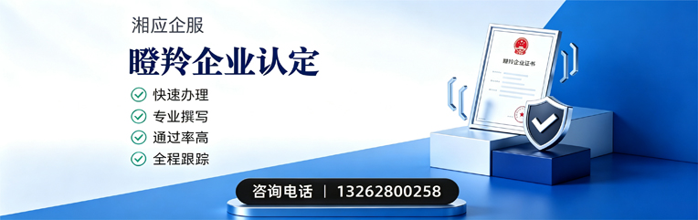 遂宁瞪羚企业认定申报服务
