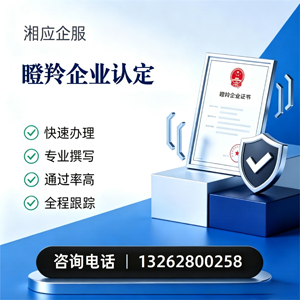 遂宁瞪羚企业认定申报服务