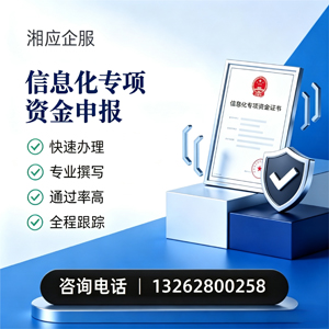 遂宁信息化专项资金申报服务