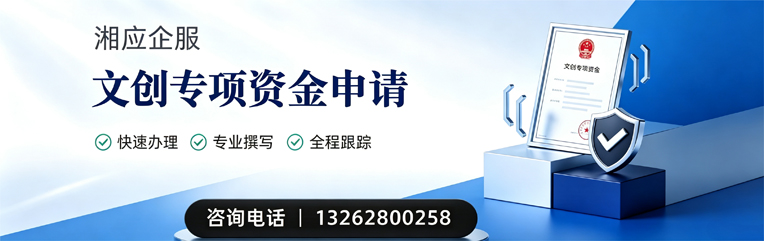 遂宁文创专项资金申报服务