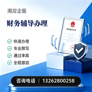 遂宁财务辅导申请服务