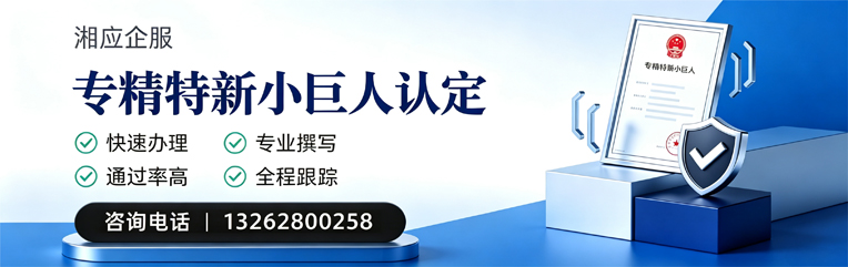 遂宁专精特新小巨人申报服务